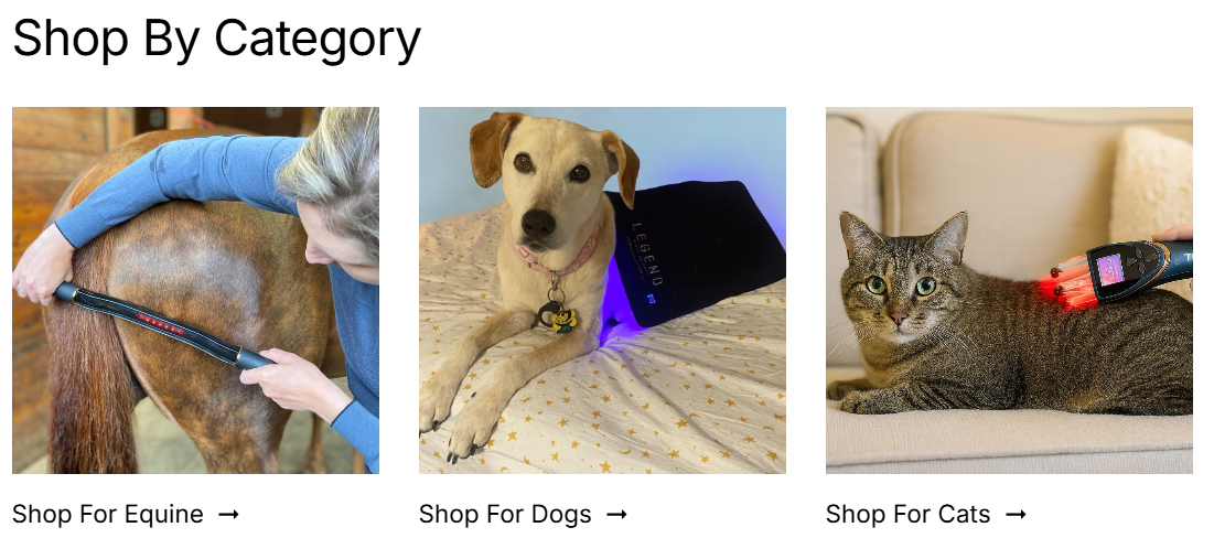 pets wellness shopping stores