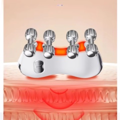 5-in-1 LED Light Therapy EMS Microcurrent Vibrating Face Massage Roller