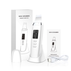 Wholesale EMS Ion Ultrasonic Skin Scrubber Facial Spatula with LED