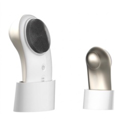 2-in-1 Facial Cleansing and Thermal Massage Rejuvenation Device