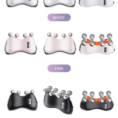 5-in-1 LED Light Therapy EMS Microcurrent Vibrating Face Massage Roller